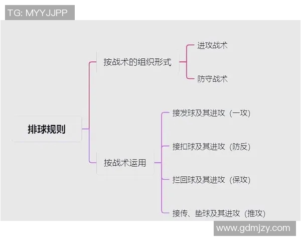 北京排球队整体压制战术解析与实战应用探讨