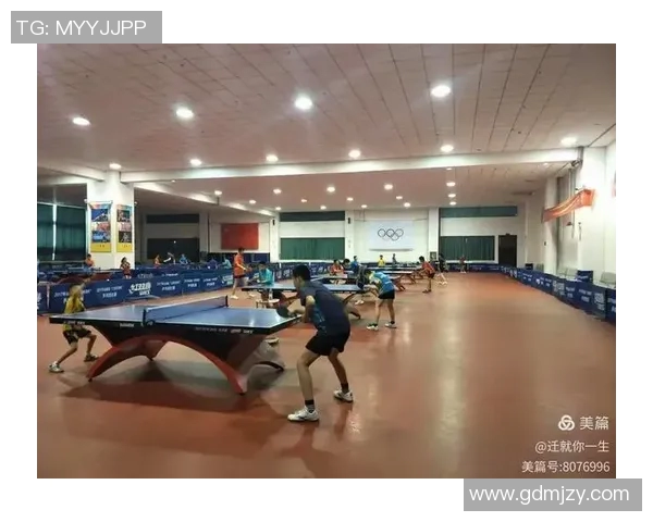 杭州乒乓球队耐力表现创新高引发广泛关注与讨论 杭州乒乓球队耐力表现创新高引发广泛关注与讨论