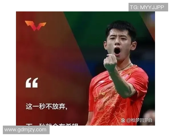 杭州乒乓球队技术变革引发热议助力中国乒乓球新辉煌