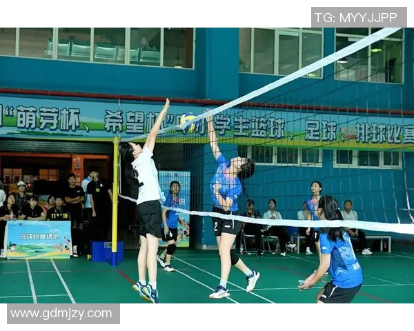 武汉排球队心理素质的变革与挑战探讨热议排球的未来发展 武汉排球队心理素质的变革与挑战探讨热议排球的未来发展