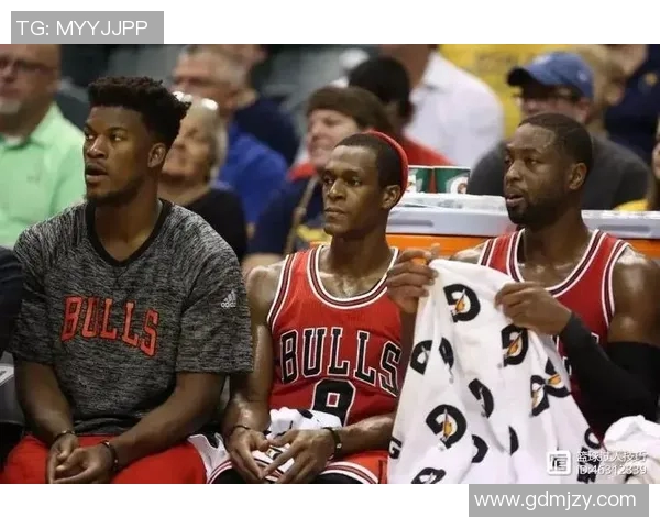 深圳羽毛球队逆袭之路揭秘挑战赛背后的奋斗与荣耀 深圳羽毛球队逆袭之路揭秘挑战赛背后的奋斗与荣耀