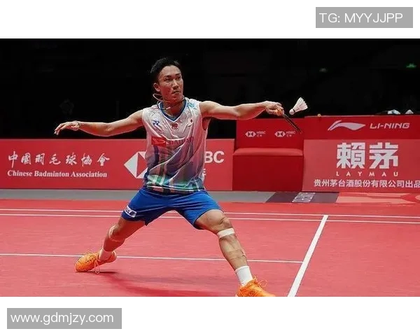 上海羽毛球队在世界锦标赛中的默契配合与战术分析 上海羽毛球队在世界锦标赛中的默契配合与战术分析