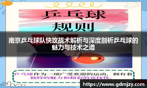 南京乒乓球队快攻战术解析与深度剖析乒乓球的魅力与技术之道