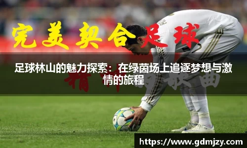 足球林山的魅力探索：在绿茵场上追逐梦想与激情的旅程